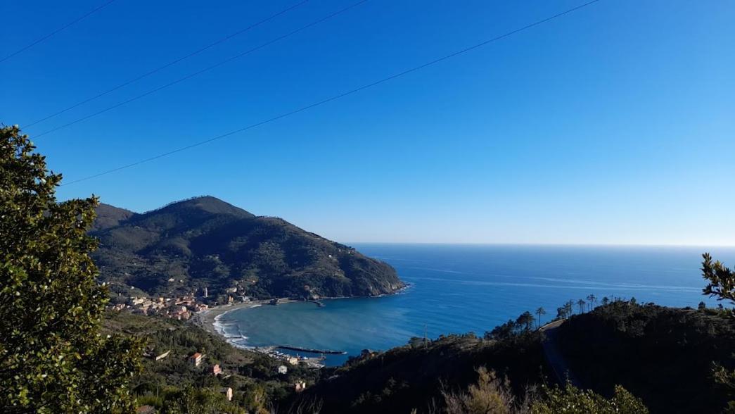 La Calla Rossa Levanto Dış mekan fotoğraf